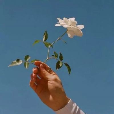龙戒众神纷争官方正版下载