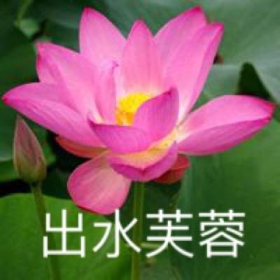 放置辰东群侠传官方下载
